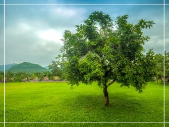 Ayurvedic Village Lake view