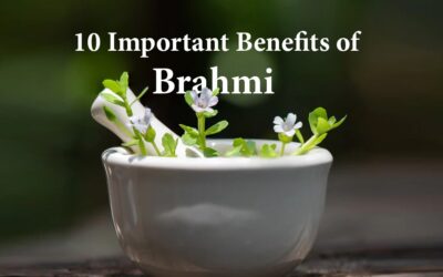 10 Important Benefits of Brahmi | Agni Ayurvedic Village