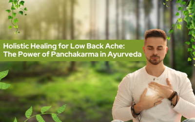 Holistic Healing for Low Back Ache: The Power of Panchakarma in Ayurveda