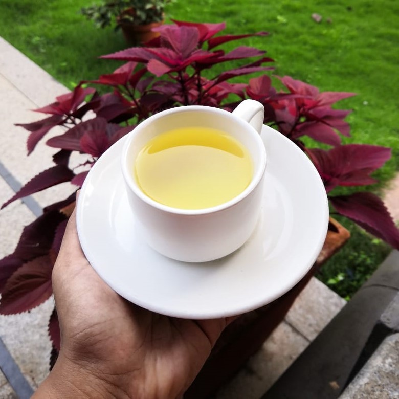 ayurvedic village