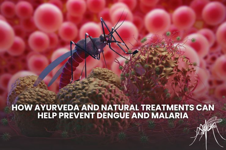 Ayurveda treatment for mosquito-borne diseases