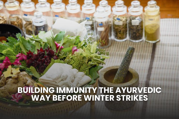 Ayurvedic winter wellness and immunity