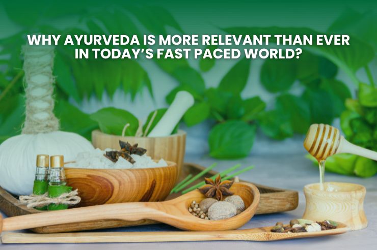 Ayurveda supporting mindful living in a busy lifestyle